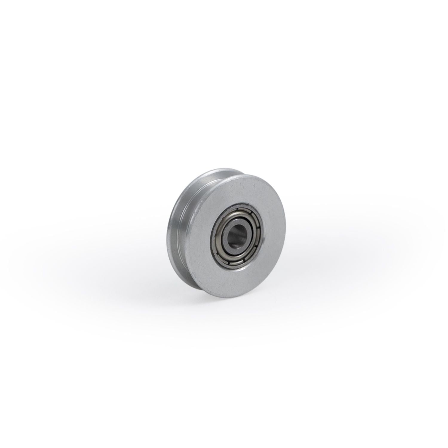 A single metal idler pulley for a bicycle drivetrain, with a visible bearing inside.